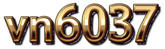 vn6037 logo